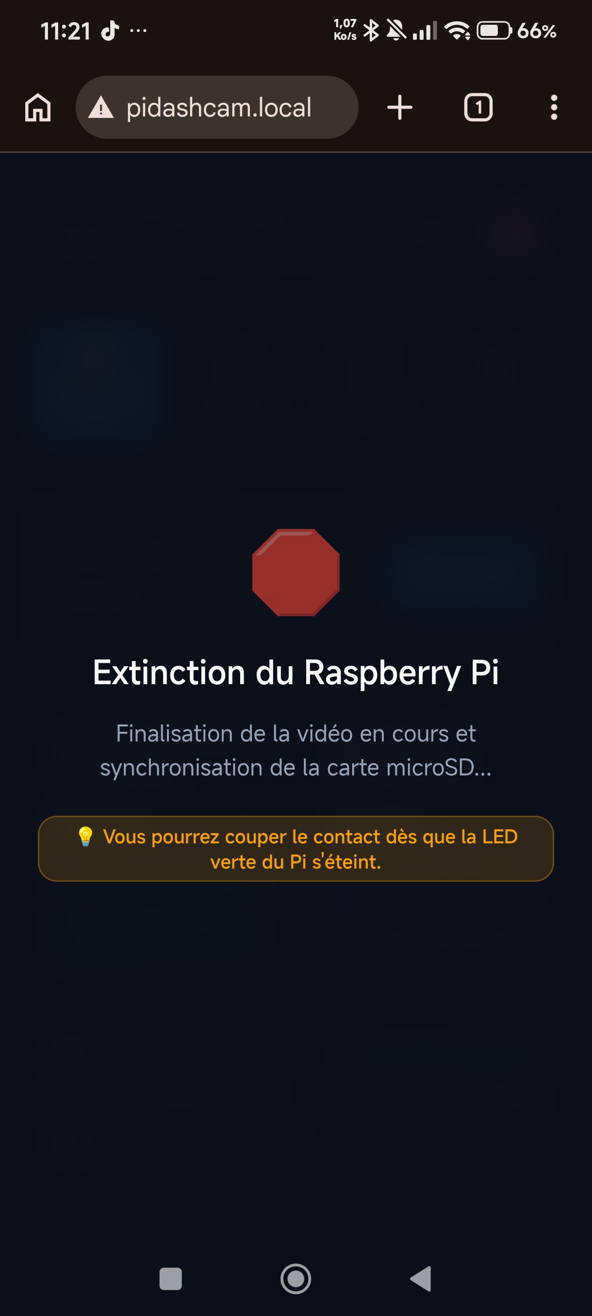 Extinction